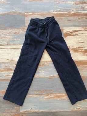 Aritizia Sweatpants